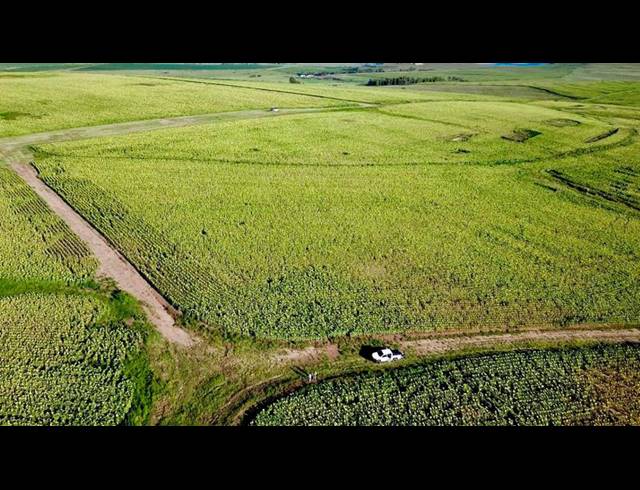 FARM FOR SALE IN BETHLEHEM RURAL